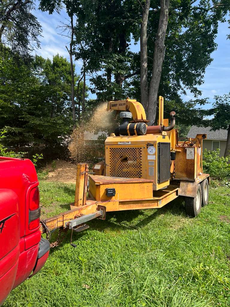 Professional tree service using wood chipper during tree removal job
